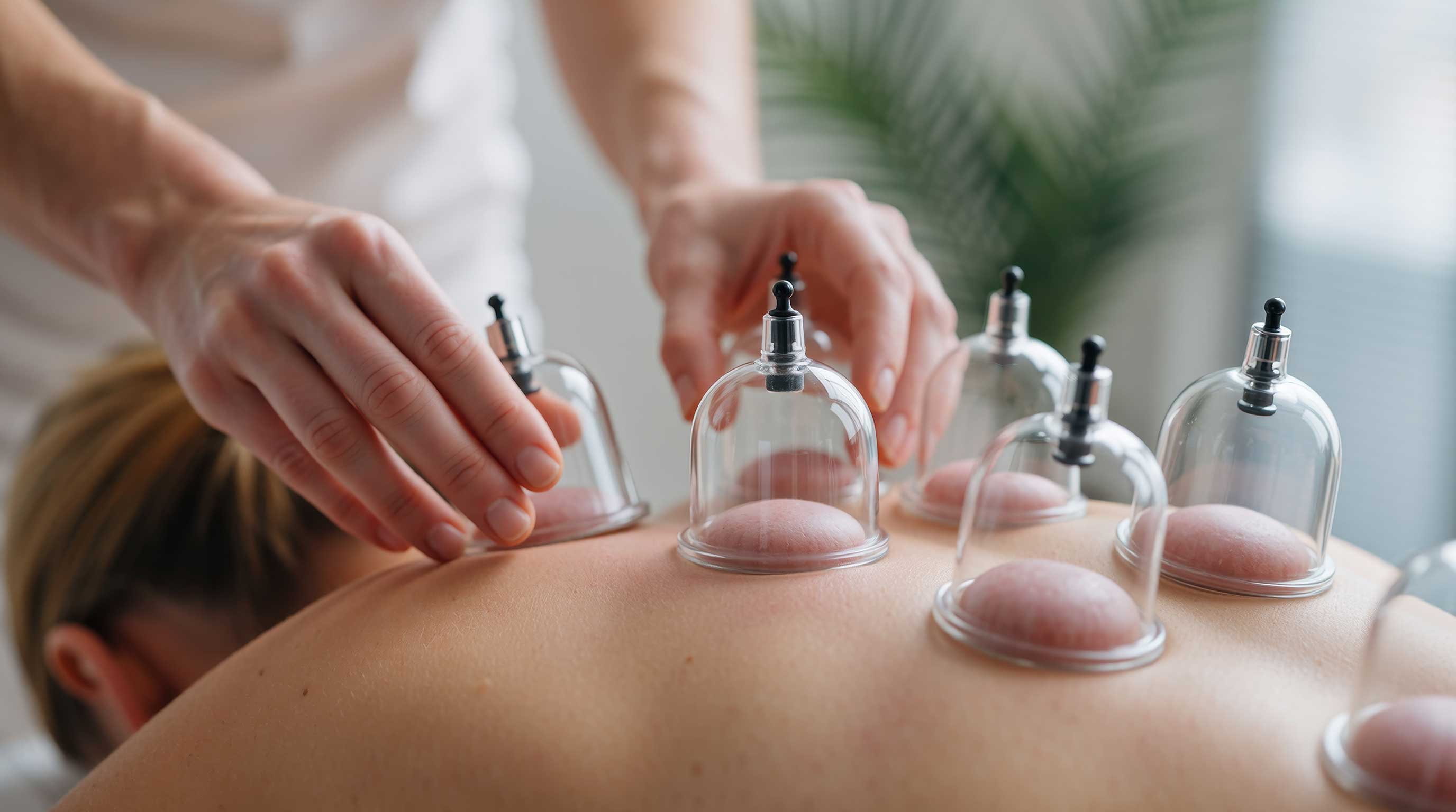 Mithilfe von Exponaten können Patienten aus der Physiotherapie anatomische Sachverhalte anschaulich erläutert werden.